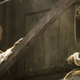 Illustration for article titled 5 iGame Of Thrones/i Book Plots Were Glad The TV Show Is Skipping